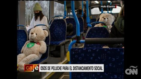 Osos de peluche en Finlandia ayudando al distanciamiento social