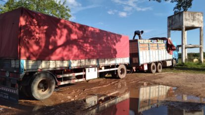 Comiso de mercadería ilegal valuada en 59.300 dólares