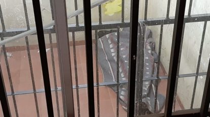 Capturan al sujeto que violó y embarazó a su hermanastra