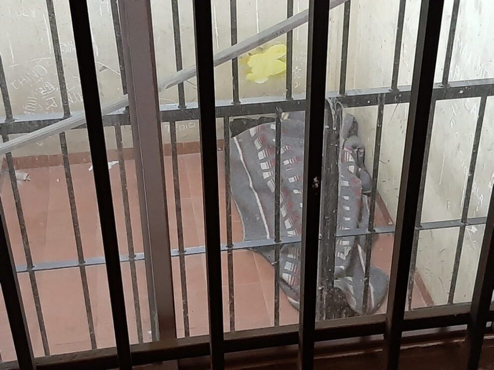 Capturan al sujeto que violó y embarazó a su hermanastra