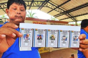 Elecciones primarias MAS propuestas por Andrónico Rodríguez