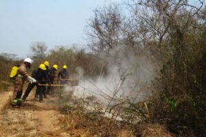 Incendios en San José de Chiquitos sofocados por lluvia