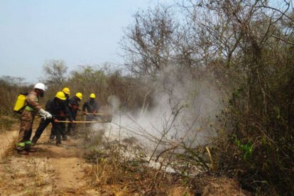 Incendios en San José de Chiquitos sofocados por lluvia