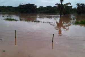 Crecida del río Mamoré y alerta roja emitida por Senamhi