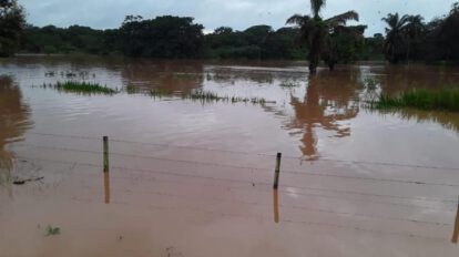 Crecida del río Mamoré y alerta roja emitida por Senamhi