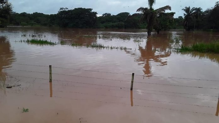 Crecida del río Mamoré y alerta roja emitida por Senamhi