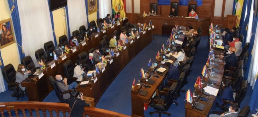 Asistencia virtual a sesiones en la Cámara de Senadores para prevenir contagios del Covid-19