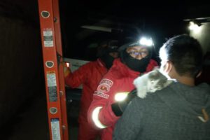 Rescate de gato en Oruro