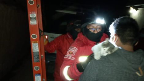Rescate de gato en Oruro