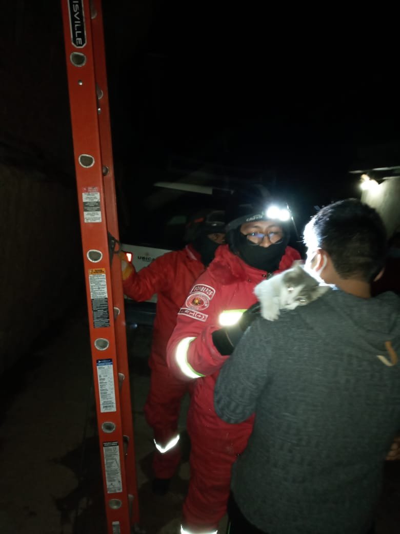 Rescate de gato en Oruro