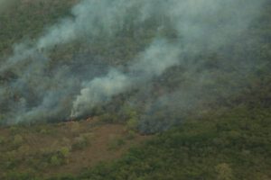 Incendios en Santa Cruz afectan 13 municipios