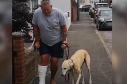 Perrito cojo imita a su dueño