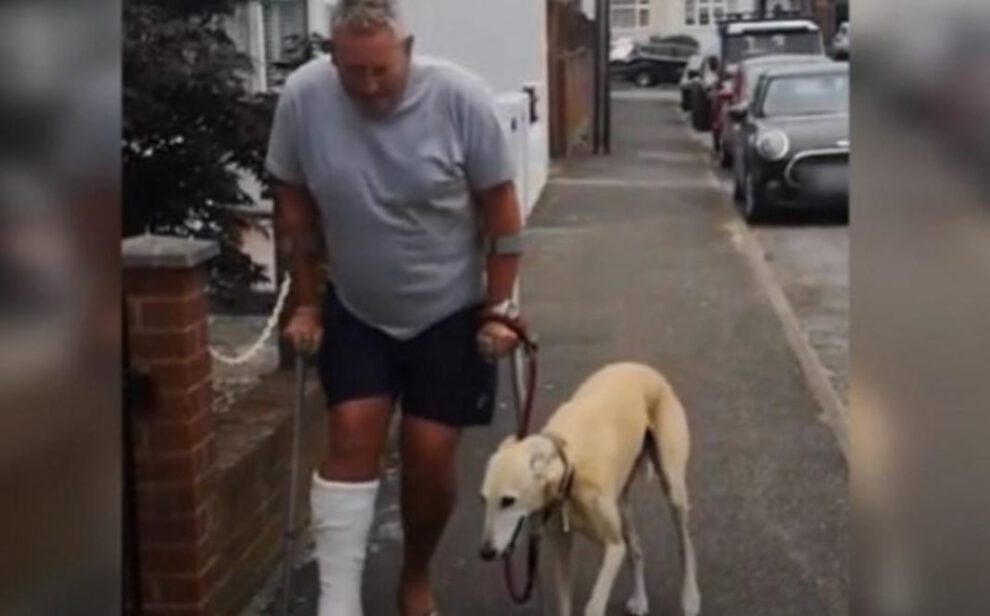 Perrito cojo imita a su dueño