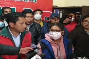 Despidos en la Vicepresidencia relacionados con Eva Copa