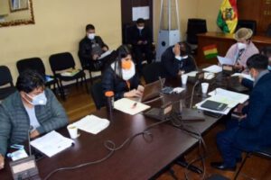 Ley de Emergencia Sanitaria en la Comisión del Senado