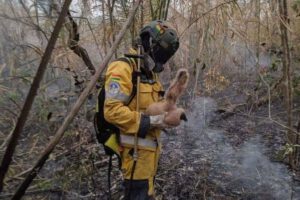 Bombero voluntario Tunari