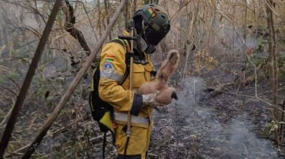 Bombero voluntario Tunari