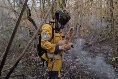 Bombero voluntario Tunari