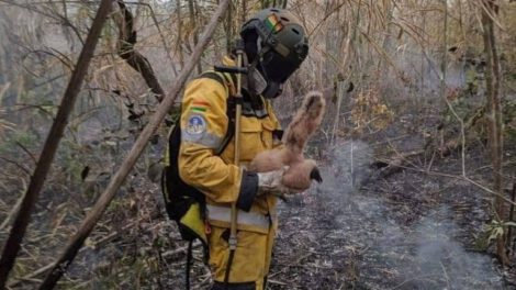 Bombero voluntario Tunari