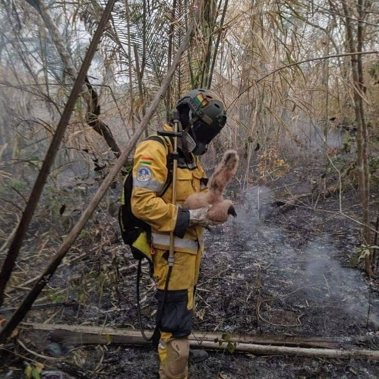 Bombero voluntario Tunari