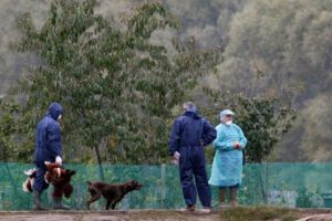 gripe aviar H5N8 en Rusia