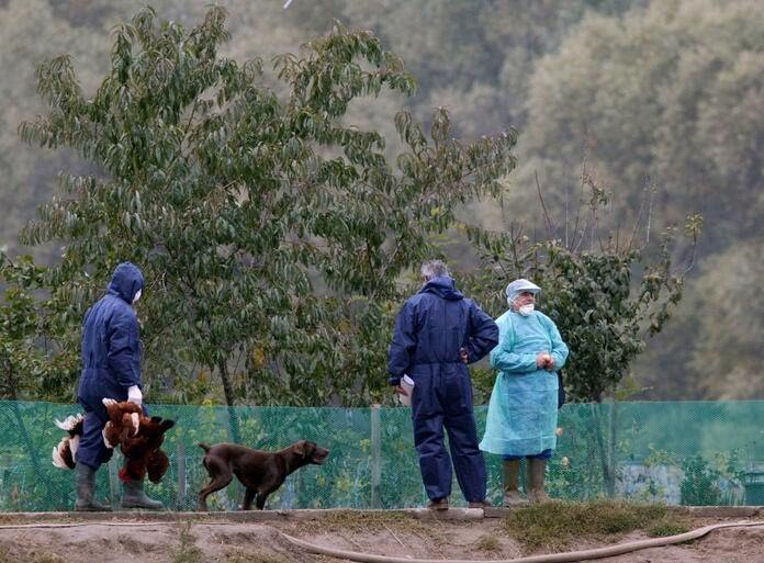 gripe aviar H5N8 en Rusia