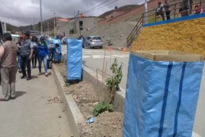 Campaña de reforestación en Oruro Limpio y Verde