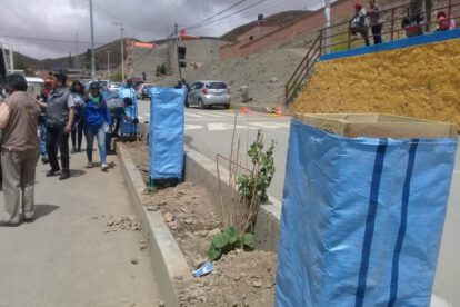 Campaña de reforestación en Oruro Limpio y Verde