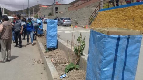 Campaña de reforestación en Oruro Limpio y Verde