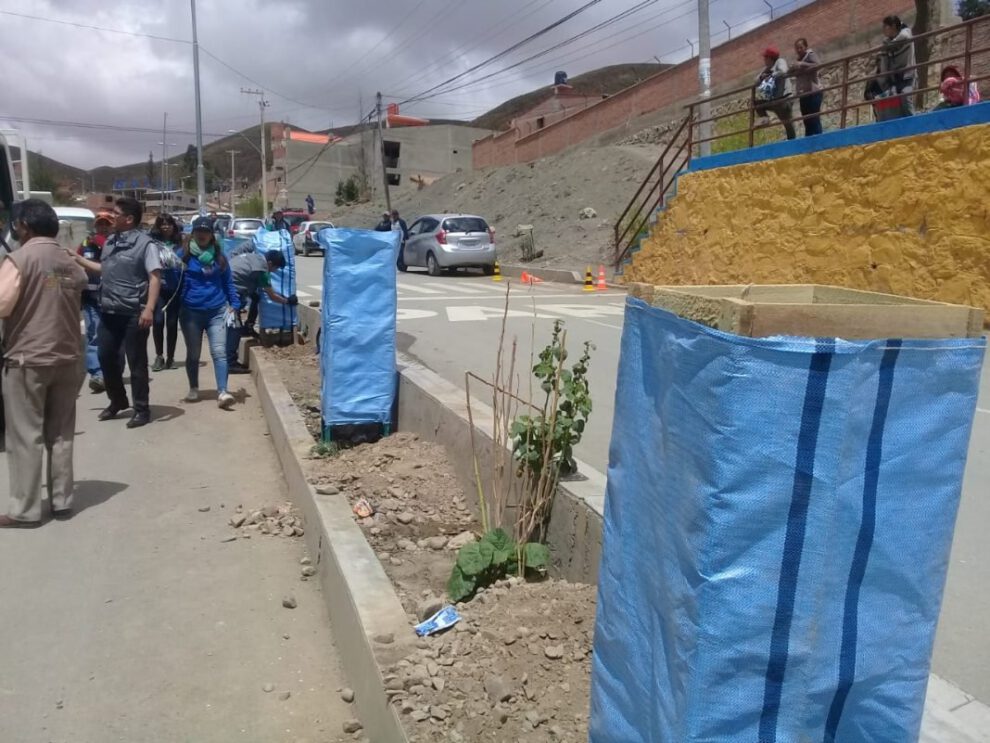 Campaña de reforestación en Oruro Limpio y Verde