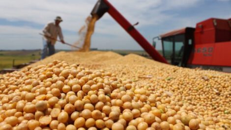 bloqueo de carreteras por productores de soya