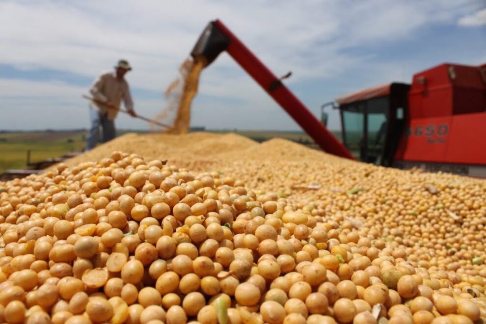 bloqueo de carreteras por productores de soya