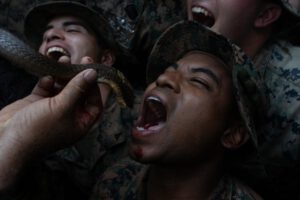 Ejercicios militares Cobra Gold donde se consume sangre de serpiente