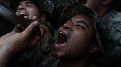 Ejercicios militares Cobra Gold donde se consume sangre de serpiente