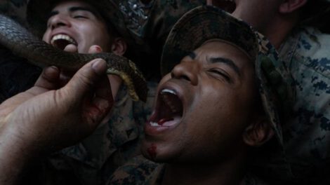 Ejercicios militares Cobra Gold donde se consume sangre de serpiente