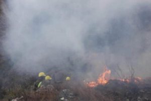 Resarcimiento por incendios en Bolivia solicitado por el Parlamento de Paraguay