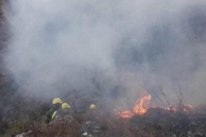 Resarcimiento por incendios en Bolivia solicitado por el Parlamento de Paraguay