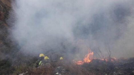 Resarcimiento por incendios en Bolivia solicitado por el Parlamento de Paraguay