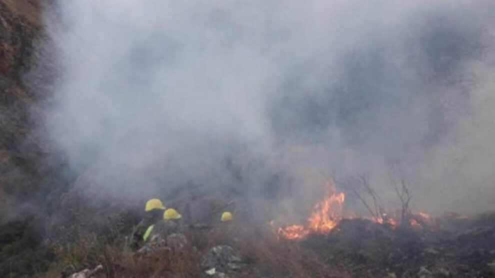 Resarcimiento por incendios en Bolivia solicitado por el Parlamento de Paraguay