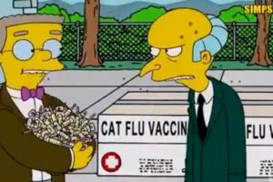 Escena de Los Simpson sobre vacunados VIP