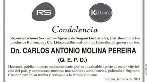Condolencia por Carlos Antonio Molina Pereira