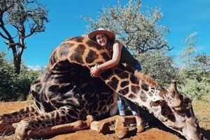 Caza de jirafa por Merelize Van Der Merwe