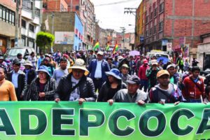 Movilizaciones de Adepcoca en el centro de La Paz