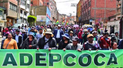 Movilizaciones de Adepcoca en el centro de La Paz