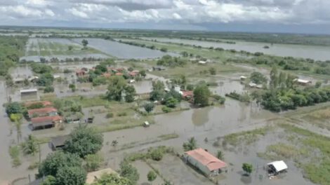 Cultivos afectados en Bolivia por riadas e inundaciones