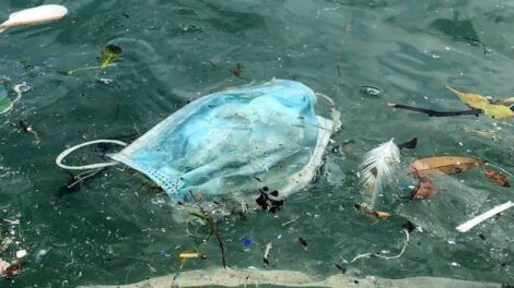 Daño ecológico de los barbijos
