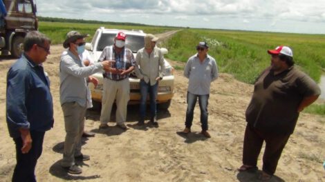Planifican construcción de mega ingenio arrocero en el departamento del Beni