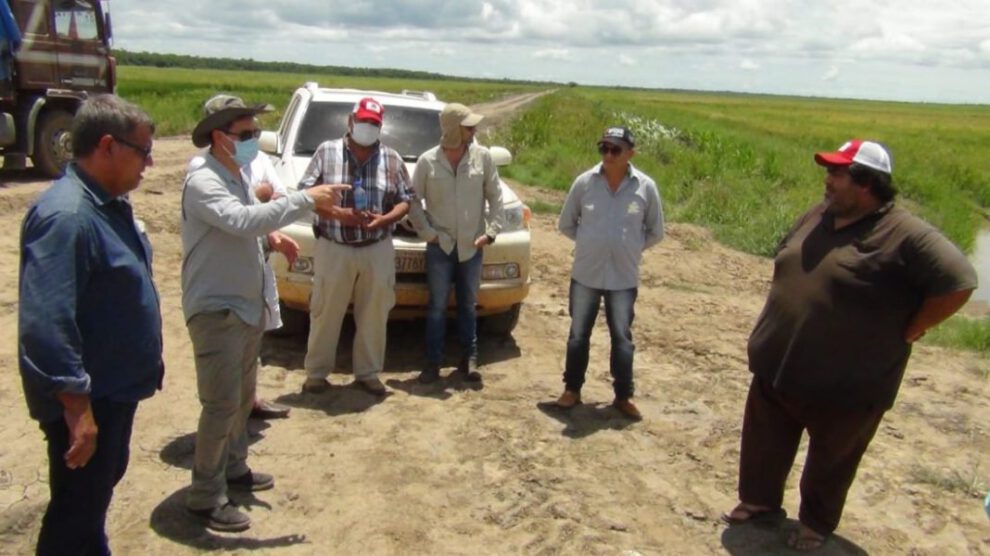 Planifican construcción de mega ingenio arrocero en el departamento del Beni