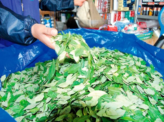 Denuncia traslado mercado coca
