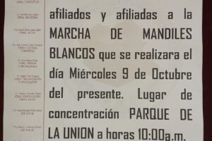 marcha de mandiles blancos convocada por Sirmes en Oruro